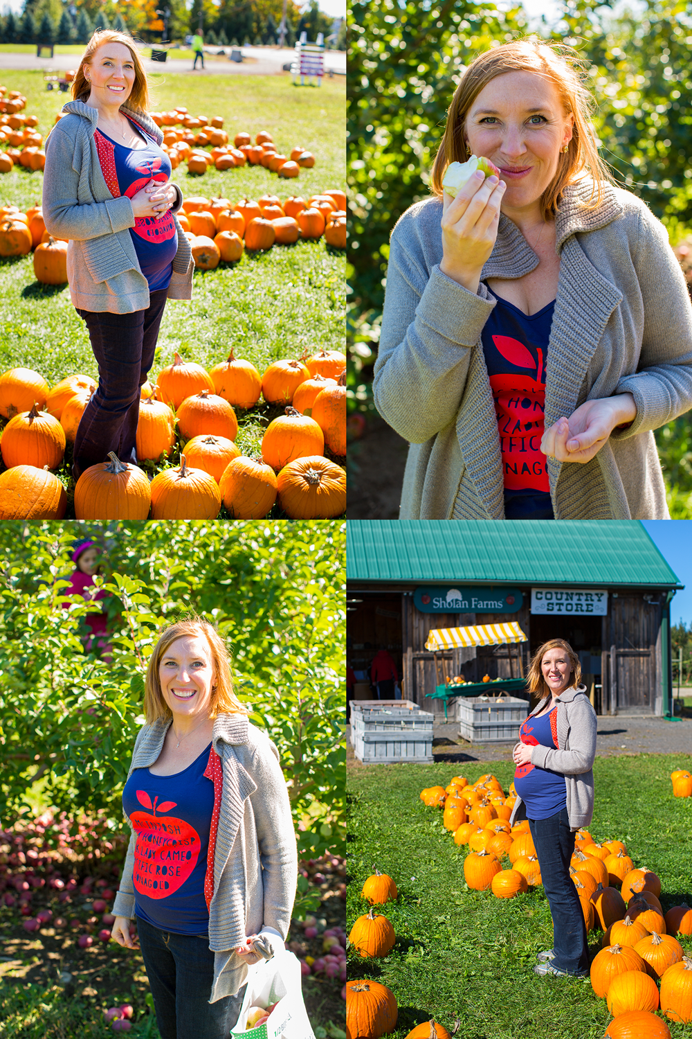 161010BabyBump_ApplePicking_LeominsterMA.png